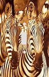 Zebra Paradise Decorative Switchplate Cover