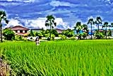The Bullsh*t Free Guide to Living in Thailand: 2012 Edition