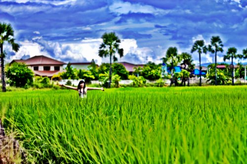 The Bullsh*t Free Guide to Living in Thailand: 2012 Edition