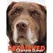 Charlotte Dumas: Retrieved