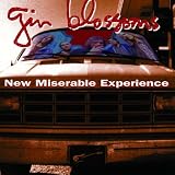 New Miserable Experience