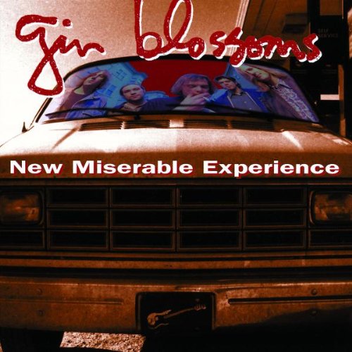 Produkt-Bild: New Miserable Experience