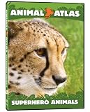 Animal Atlas: Super Hero Animals