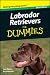 Labrador Retrievers For Dummies®, Mini Edition