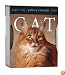 Cat Gallery Calendar 2009 (Page a Day Gallery Calendar)