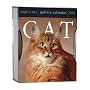 Cat Gallery Calendar 2009 (Page a Day Gallery Calendar)