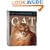 Cat Gallery Calendar 2009 (Page a Day Gallery Calendar)