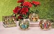Set of 4 Garden Party Butterfly Floral Scented Gel Candles