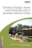Climate change, assets and food security in Southern African cities