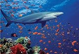 Melissa & Doug Shark 100 Piece Jigsaw Puzzle