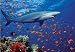 Melissa & Doug Shark 100 Piece Jigsaw Puzzle