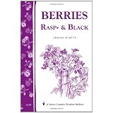 Berries, Rasp- & Black ~ Louise Riotte