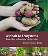 Asphalt to Ecosystems: Design Ideas for Schoolyard Transformation