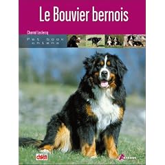 Le bouvier bernois