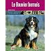 Le bouvier bernois