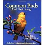 Common Birds and Their Songs (Book and Audio CD) book cover