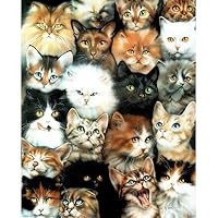 Dan McManis (Cats Collection) Art Print Poster