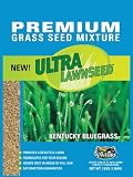 AMTURF 77023 KENTUCKY BLUEGRASS BLEND GRASS SEED 3-POUND BAG