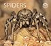Spiders (WorldLife Library) by Rod Preston-Mafham ISBN 0760330018