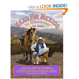 Head for Mexico: The Renegade Guide
