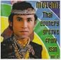 Molam: Thai Country Groove From Isan Vol. 2
