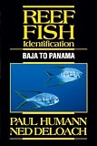 Reef Fish Identification: Baja to Panama
