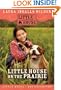 Little House on the Prairie