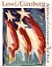 Books : American Government: Freedom and Power, 3rd Brief (9780393964738, 0393964736)