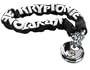 Kryptonite Keeper 880 Chain & Padlock