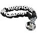 Kryptonite Keeper 880 Chain & Padlock