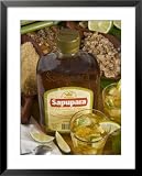 51hZuRnEUfL. SL160  Brazilian Food and Drink, Caipirinha and Cachassa Bottle, Brazil, South America Cuisine Framed Art Poster Print by Nico Tondini, 25x31 Reviews