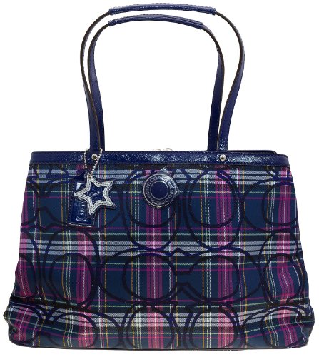 Coach Signature Stripe Tartan Framed Carryall Bag F20011 (SV/Multicolor)