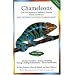Chameleons: Care and Breeding of Jackson's, Panther, Veiled, and Parson's (Advanced Vivarium Systems)