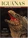 Iguanas: Biology and Conservation