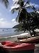 Beach, Les Salines, Martinique, French Antilles, West Indies, Central America Art Pho...