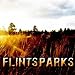 Flint Sparks (of Fire and Ash)