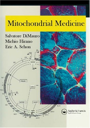 mitochondrial disease