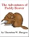  : The Adventures of Paddy Beaver