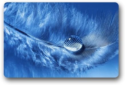 Quick Drying Door Mat - Personalize with Colorful Feathers Doormat-23.6"(L)x15.7"(W) 3/16"