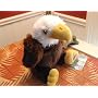 Webkinz Ganz Large Eagle September 2008 Brand New Release