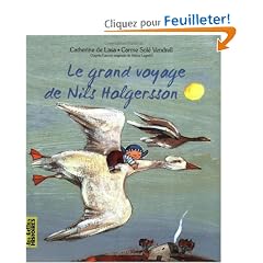 Le grand voyage de Nils Holgersson