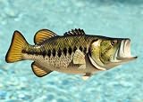 Taxidermy 12 Fiberglass Large Mouth Bass Wall Mount