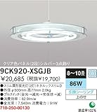 NEC�@�u�����y���_���g�@9CK920-XSGJB