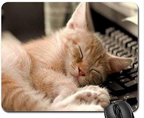 computer crazy little pussy:) Mouse Pad, Mousepad (Cats Mouse Pad)