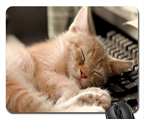 computer crazy little pussy:) Mouse Pad, Mousepad (Cats Mouse Pad)