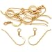 14K Gold Filled French Wire Earring Hooks (10)