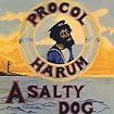 A Salty Dog