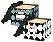 Fellowes Decorative Storage Box Argyle, 2-pack Letter/Legal