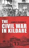 The Civil War in Kildare