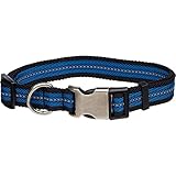 UPC 800443136225 product image for Petco Reflective Adjustable Blue Dog Collar | upcitemdb.com